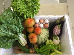 CISTELLA TANCADA SETMANAL 13 productes CISTELLA TANCADA SETMANAL 13 productes