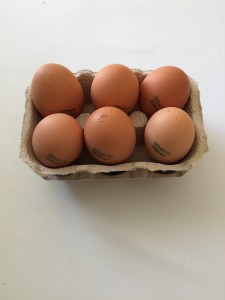 OUS - Paquet de 6 ous OUS - Paquet de 6 ous