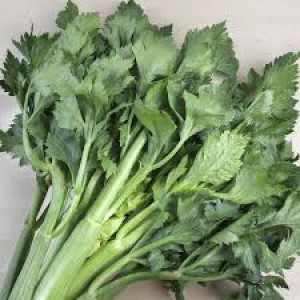 API - manat API - manat