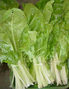 BLEDA VERDA BLEDA VERDA