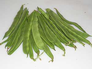 * MONGETA TENDRA PERONA/PLANA  * MONGETA TENDRA PERONA/PLANA