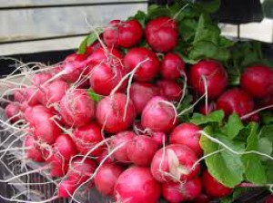 RAVES-MANAT RAVES-MANAT